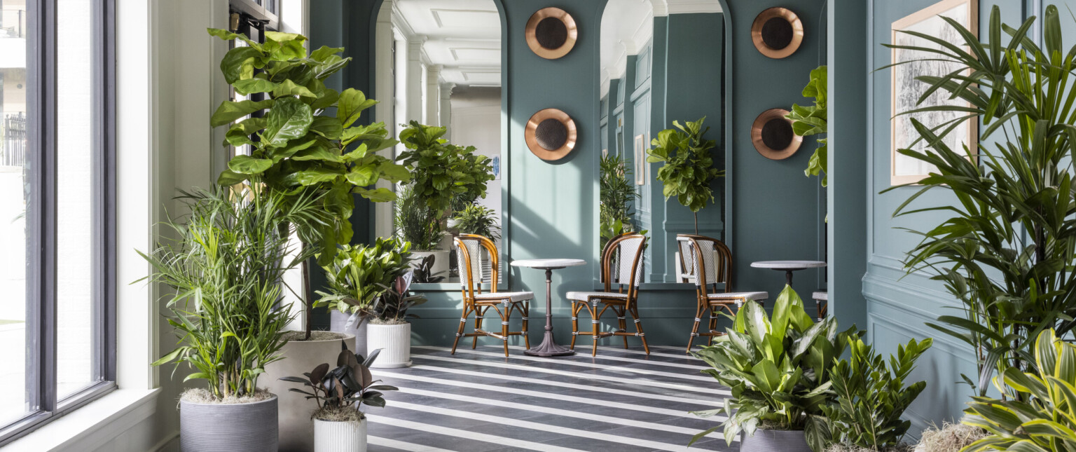 Hallway with black and white tiled floors and teal walls filled with green plants in white planters