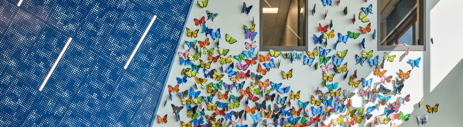 Mural wall with dimensional butterflies, blue textured wall, interior windows