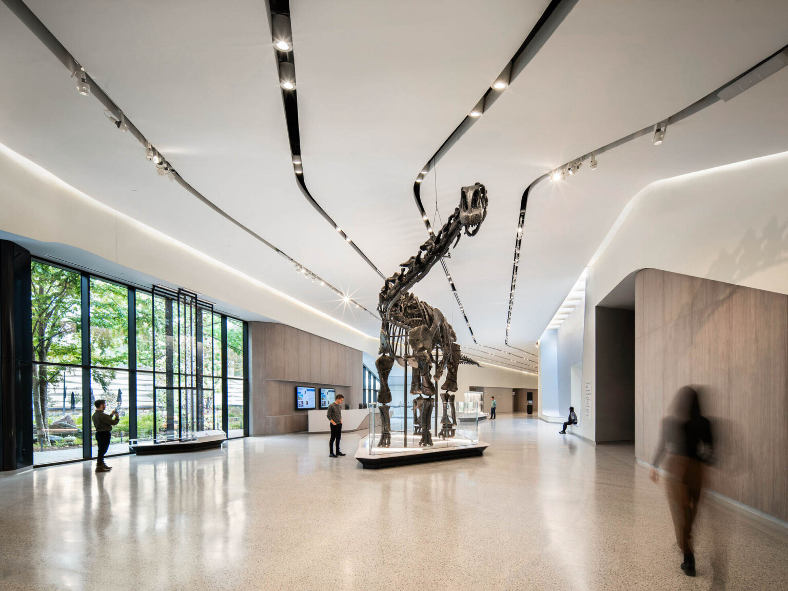 A dinosaur skeleton in an exhibition hall with people walking and viewing the exhibit in the large space with white walls, light tile flooring