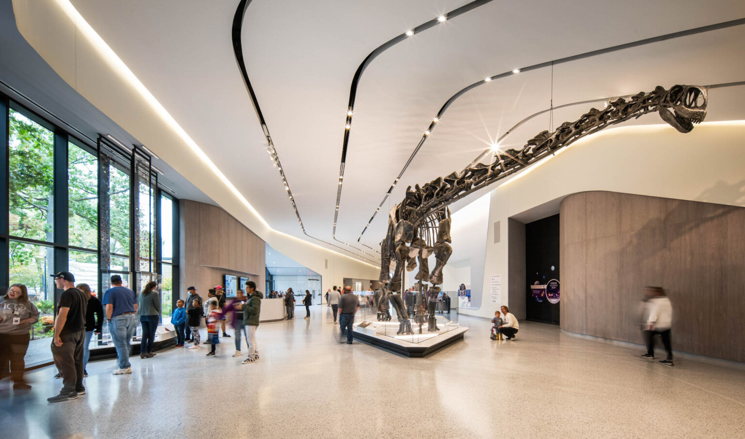 A dinosaur skeleton in an exhibition hall with people walking and viewing the exhibit in the large space with white walls, light tile flooring