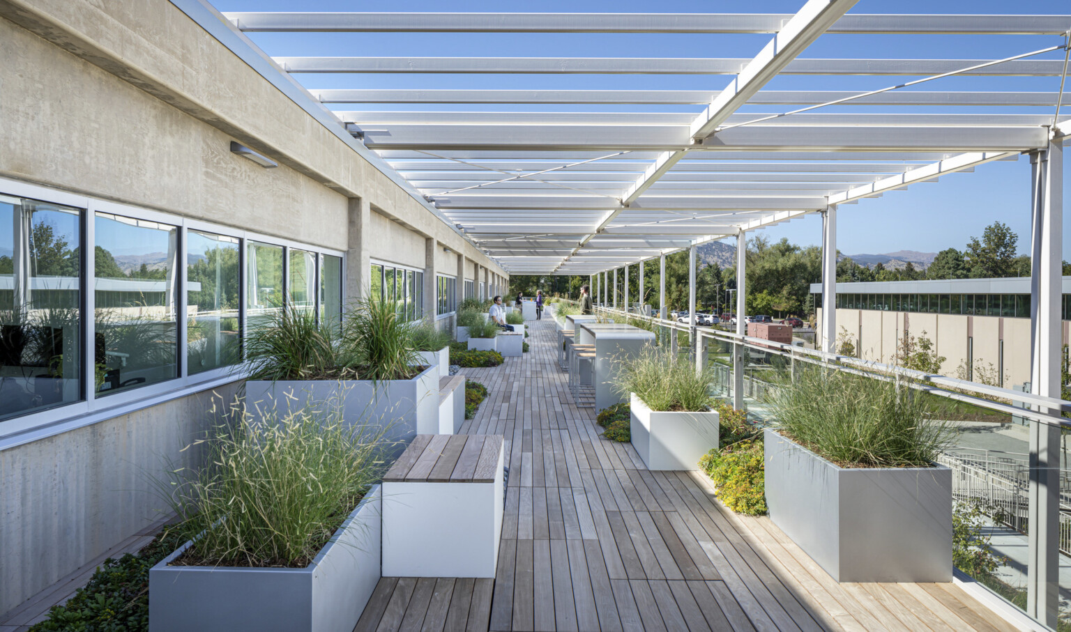 Outdoor walkway filled with plants in white planters on wooden decking