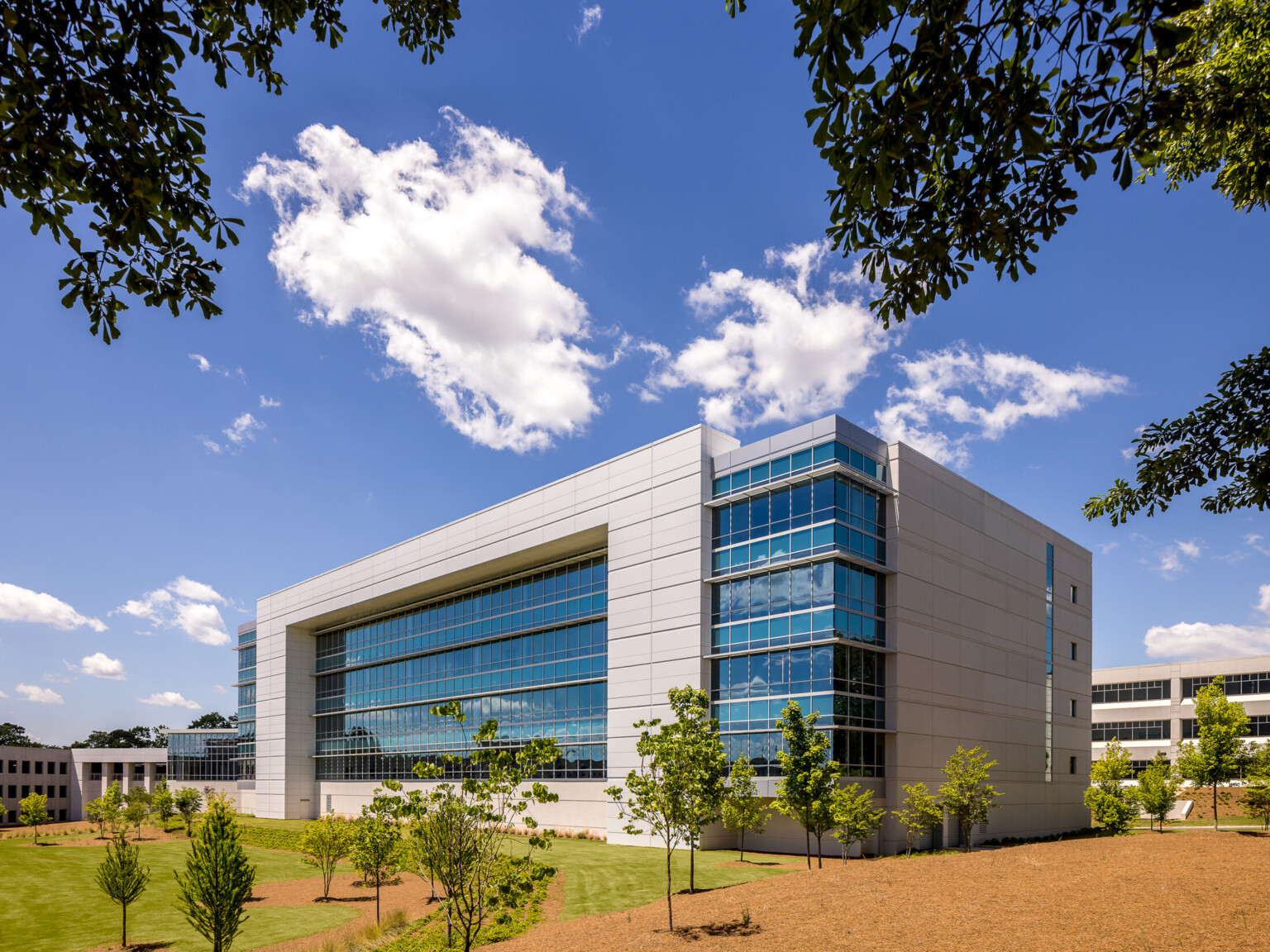 Modern multistory office building filled with windows surrounded by lush landscaping and trees.