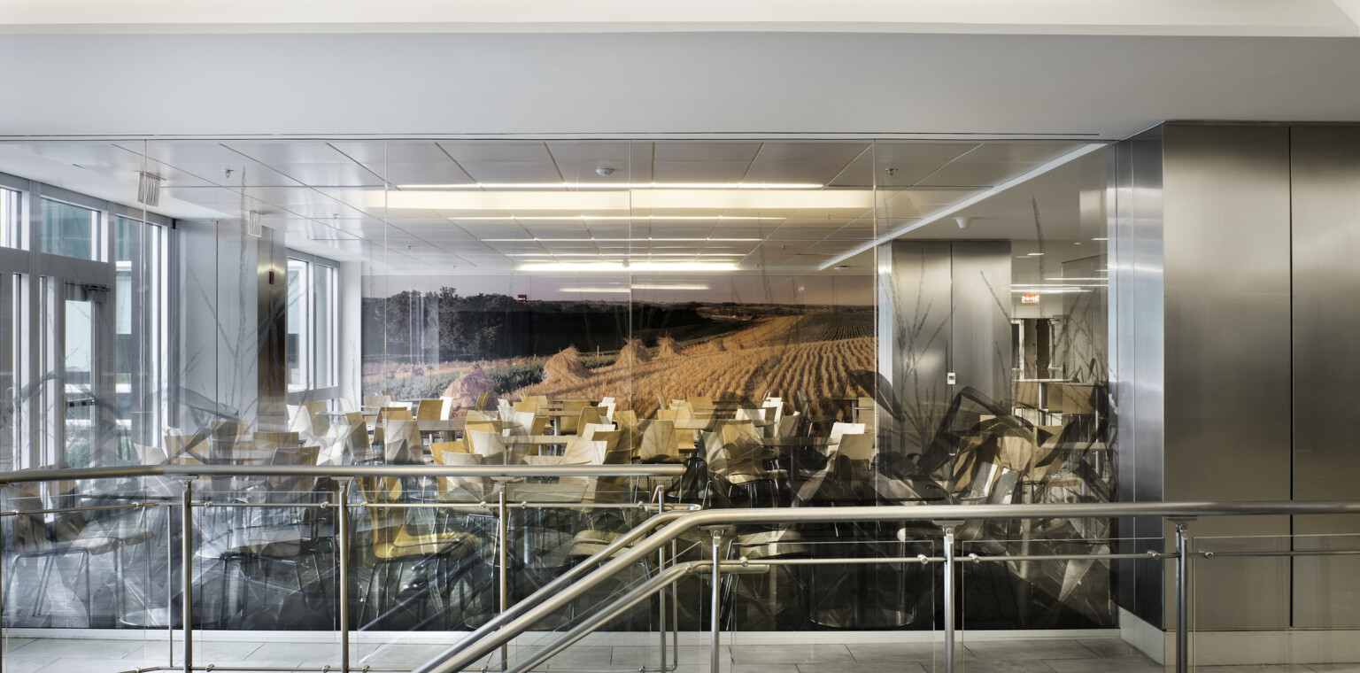 Looking through a glass window at tables and chairs in front of a wall mural